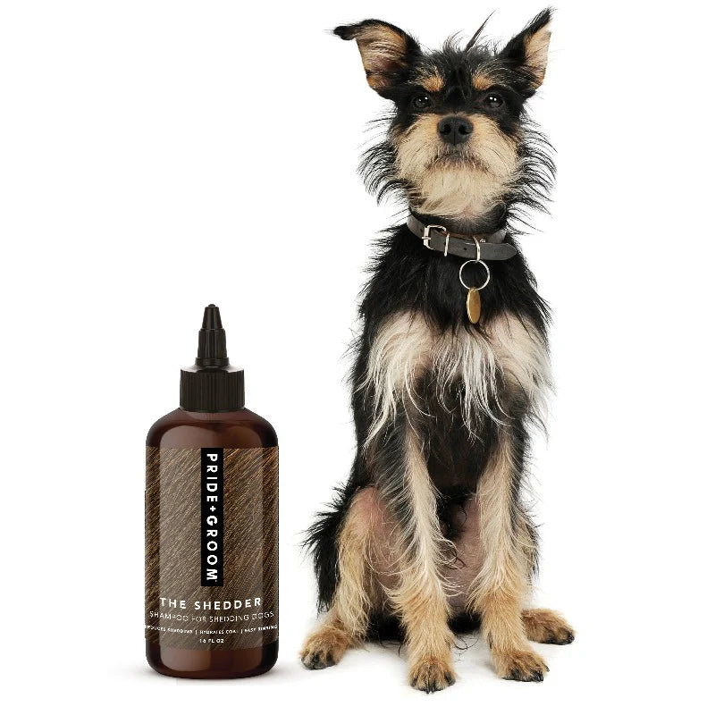 Pride + Groom Shedder Shampoo for Dogs